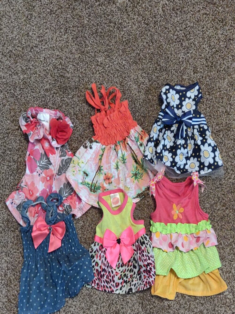 Small Dog Clothes *Bundle of 37 Pieces* All XXS or XS - Picture 8 of 10